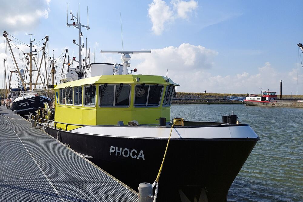 Geel-zwart schip afgemeerd aan de kade van de vissershaven van Den Oever, met visserskotters erachter