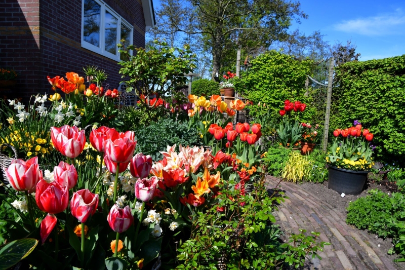 Welkom in de mooiste tuinen van Noord-Holland Noord in Den Oever