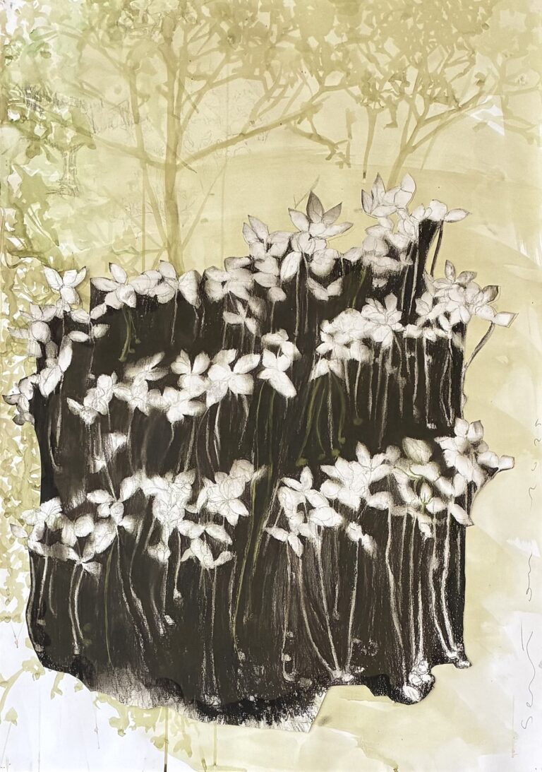 Expositie ‘Mixed Media on Paper’ van Caroline Serton. — familie-kids in Den Oever